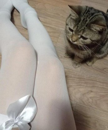 💋
🌹 Мои услуги включают широкий спектр развлечений и наслаждений, чтобы удовлетворить все твои сокровенные фантазии. Здесь ты найдешь все, что нужно для полного расслабления и удовольствия - от нежного эротического массажа до более интимных развлечений. 💥
🔥 В моем арсенале есть такие техники, которые оставят тебя безумно довольным. Я умею быть страстной и безудержной, но также могу быть нежной и преданной. Я готова исполнить твои сокровенные желания и сделать твои фантазии реальностью. 🌈
💯 Мои клиенты всегда возвращаются ко мне снова и снова, так как я предлагаю высокий уровень сервиса и максимальное удовлетворение. Мои отзывы говорят сами за себя - я знаю, как заставить мужчину почувствовать себя особенным и желанным. Увидишь сам! 💕
📸 На моих фото ты увидишь мое красивое тело, соблазнительные формы и чарующий взгляд. Я уверена, что мои соблазнительные образы растопят твое сердце и разожгут пламя страсти в твоих глазах. 😍
🌟 Не теряй времени, дорогой! Смело мне звони и дари себе незабываемо яркие воспоминания о нашей встрече, ведь я готова стать твоей самой заветной фантазией! Твоя индивидуалка в Москве, всегда готовая подарить тебе незабываемые моменты! 💫 Жанна